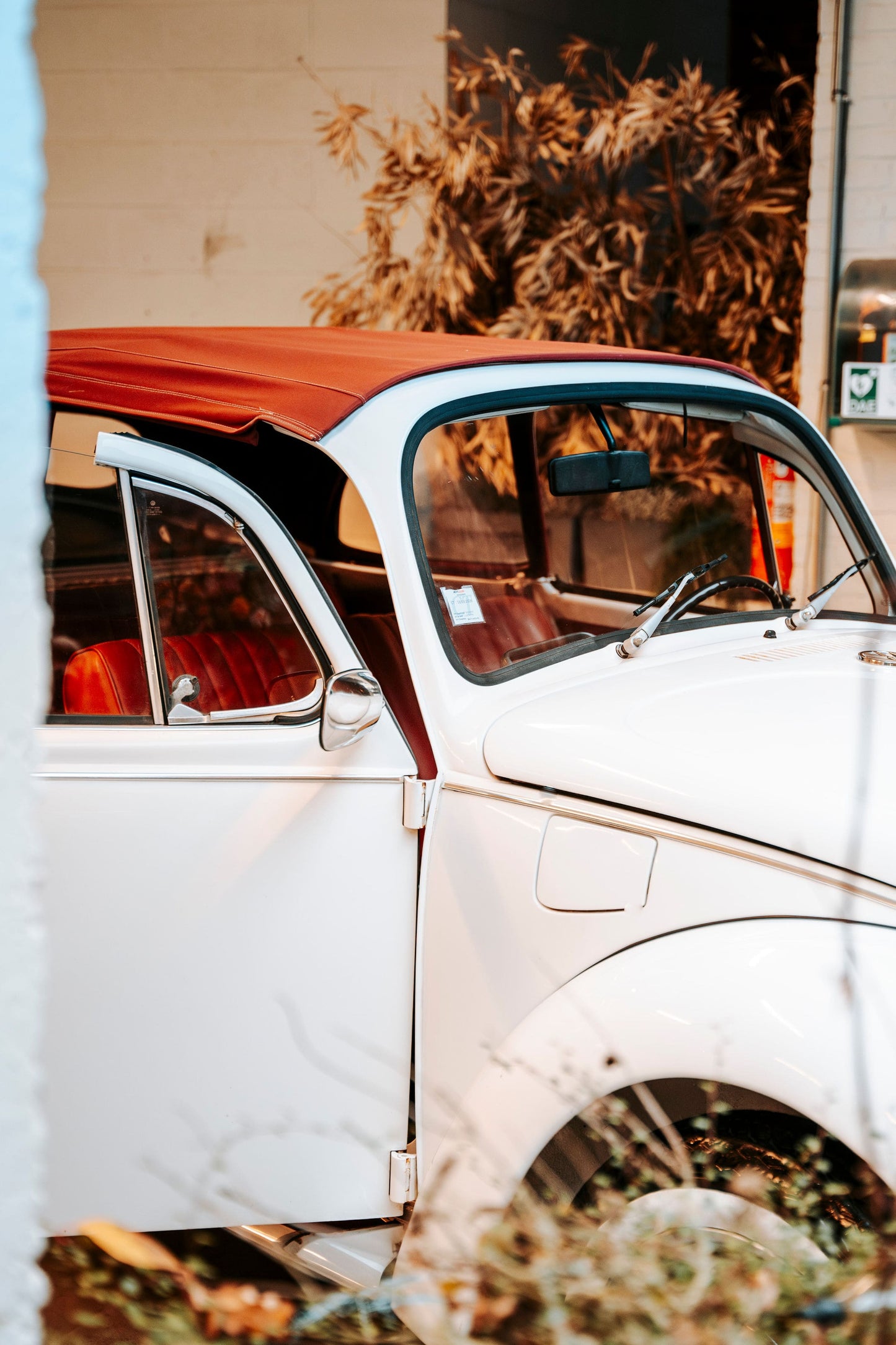 Coccinelle à louer à Douai pour mariage et événements